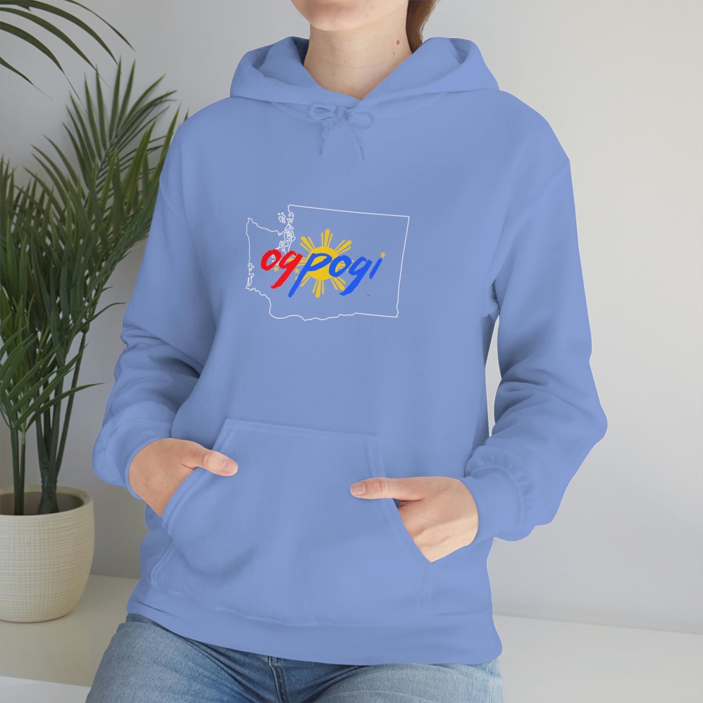 Washington OG Pogi (white border) - Unisex Heavy Blend Hooded Sweatshirt