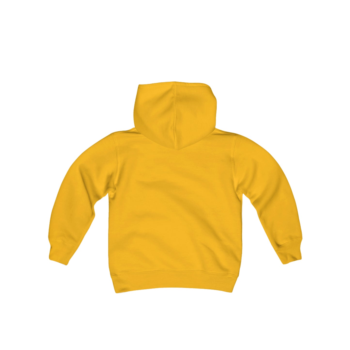 PI OG - Youth Heavy Blend Hooded Sweatshirt